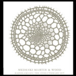 Medeski Martin, and Wood: Radiolarians: The Evolutionary Set