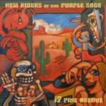 New Riders Of The Purple Sage: 17 Pine Avenue