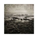 Arbouretum: Coming Out Of The Fog