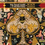 Big Head Todd and The Monsters: Black Beehive