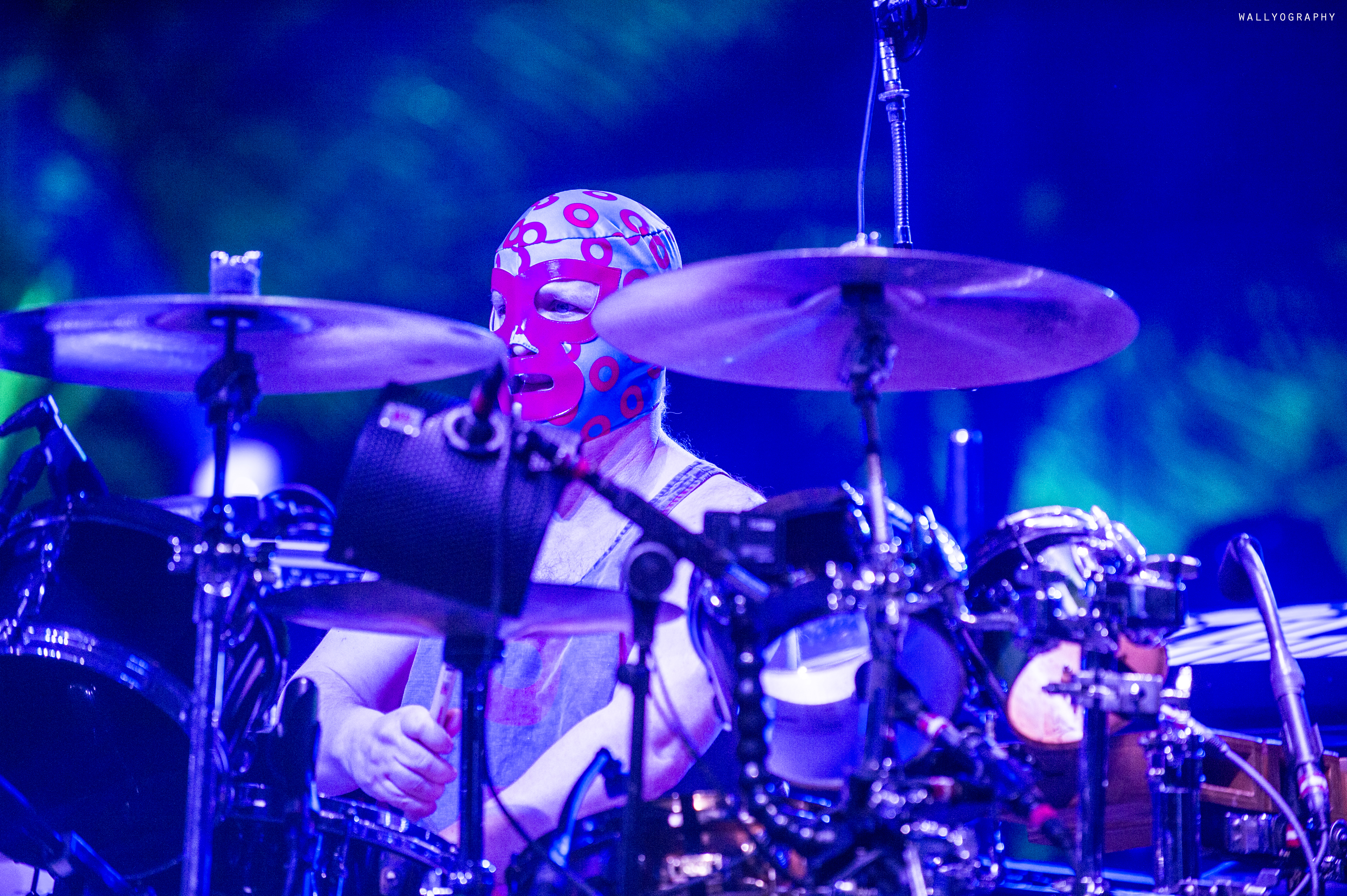 phish maya 2017