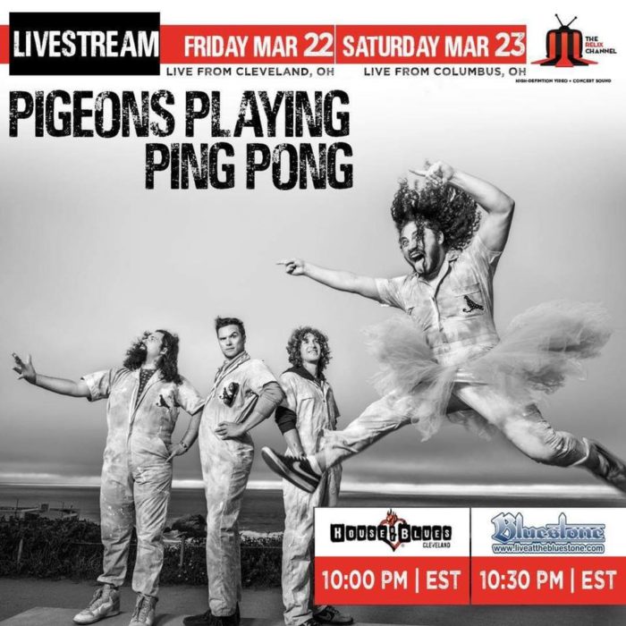 The Relix Channel to Present Weekend-Long Pigeons Playing Ping Pong Livestream from Ohio