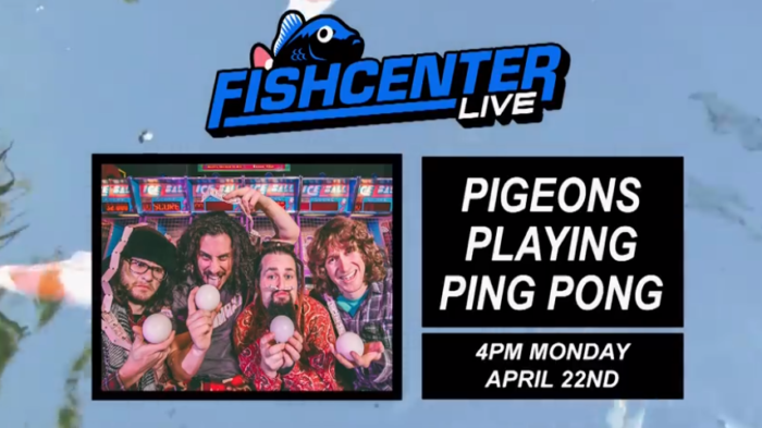 Pigeons Playing Ping Pong to Appear on Adult Swim’s ‘FishCenter Live’