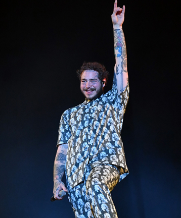 From the ‘Bonnaroo Beacon’: Sunflowers and Butterflies