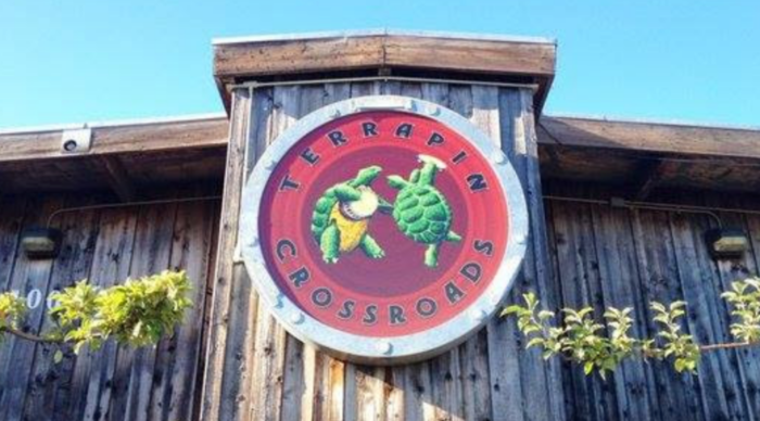 Member of Terrapin Crossroads Staff Tests Positive for COVID-19, Venue Closes Immediately