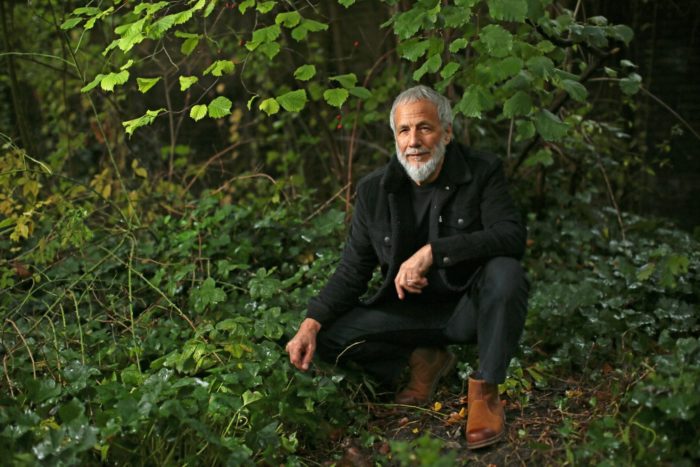 Yusuf / Cat Stevens Shares “On The Road To Find Out”