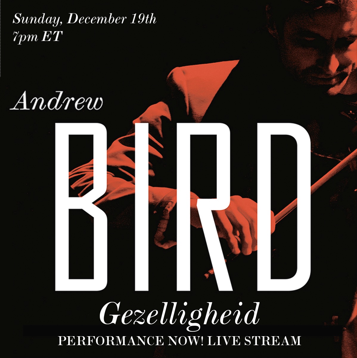 Andrew Bird Announces 2021 Gezelligheid Holiday Performance