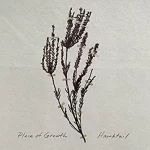 Hawktail: Place of Growth 