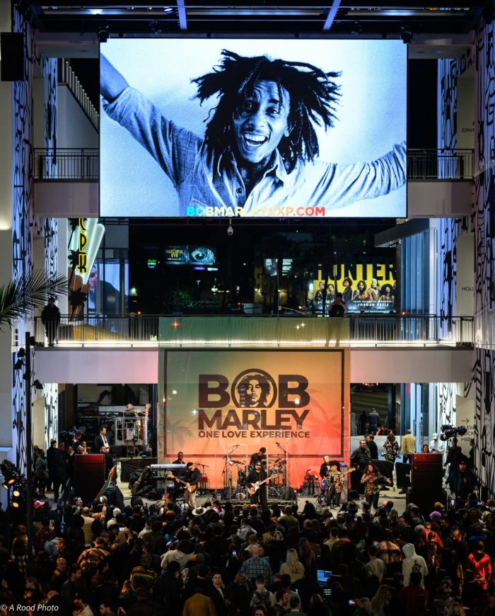 Bob Marley One Love Experience Opens in Hollywood, Skip Marley Performs