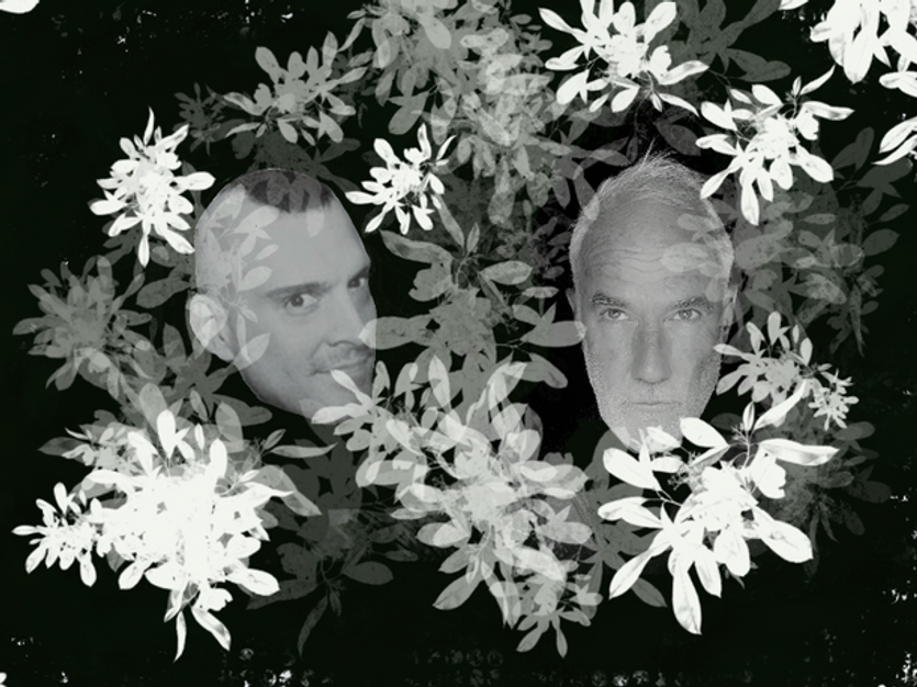 Snakes and Stars: Michael Travis and Aaron Johnson Create Spontaneous Compositions - Vimarsana News