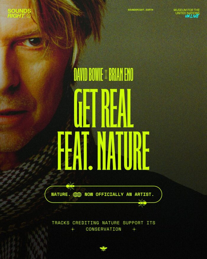 Listen: Brian Eno Updates David Bowie’s “Get Real” with Nature Sounds
